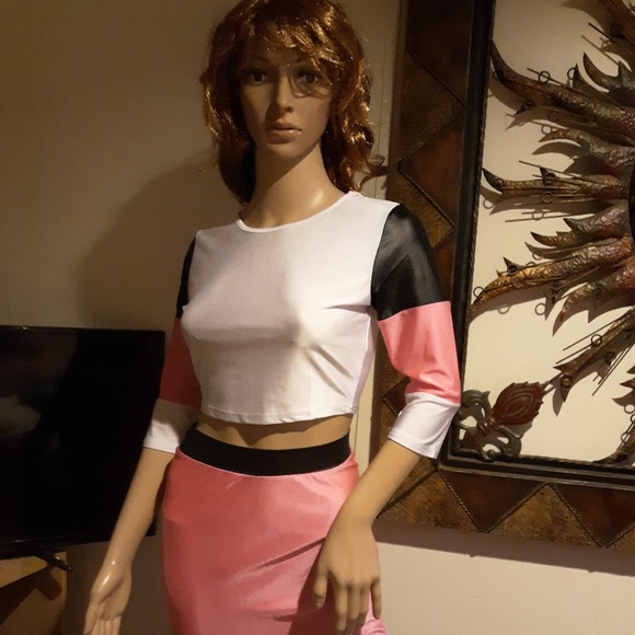 🎉NWT! Pink 2pc Crop Top & Skirt Set Sz Small🎉 - Picture 4 of 8